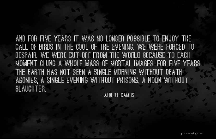 Really Cool Friend Quotes By Albert Camus
