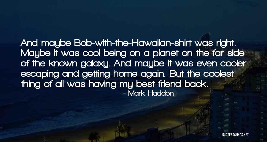 Really Cool Friend Quotes By Mark Haddon