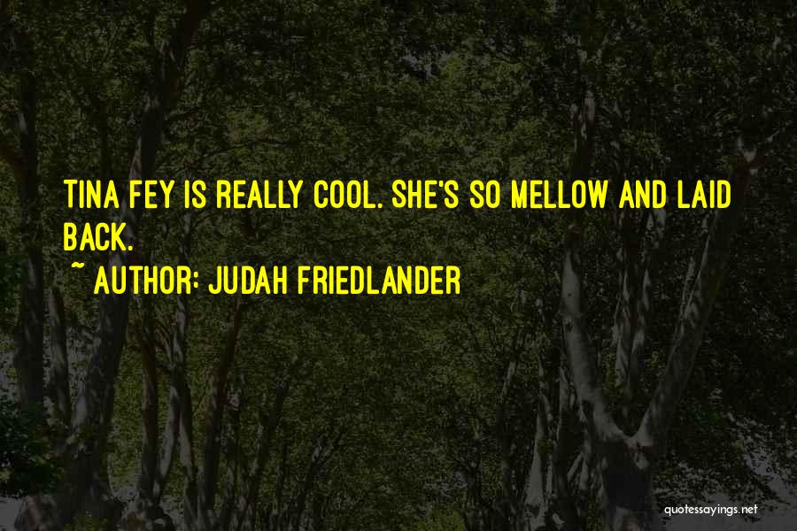 Really Cool Quotes By Judah Friedlander