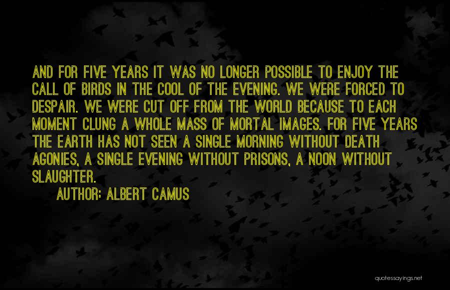 Really Cool War Quotes By Albert Camus