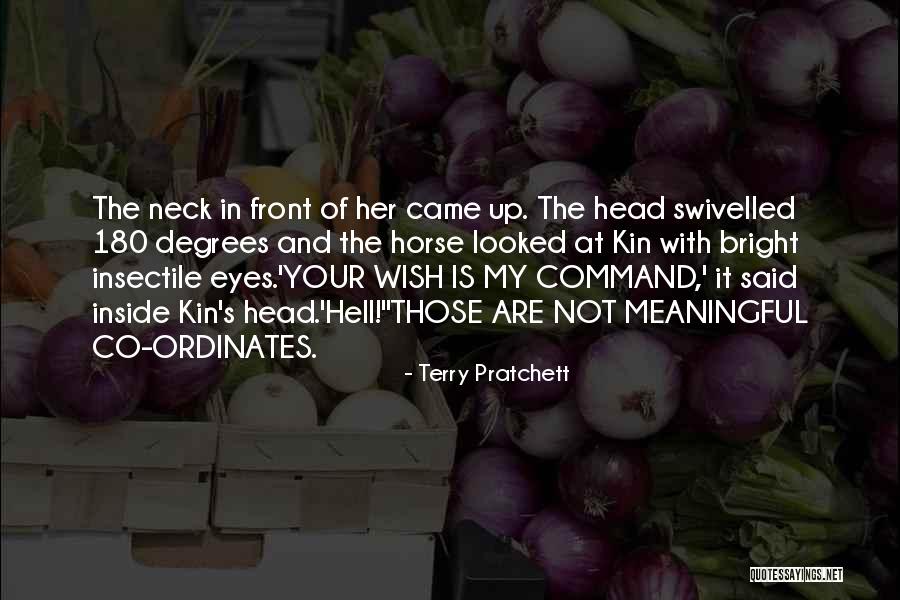 Really Funny Horse Quotes By Terry Pratchett