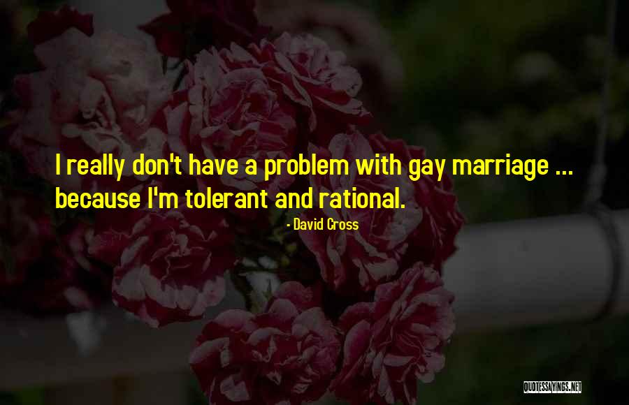 Really Gay Quotes By David Cross Really Gay Quotes By David Cross