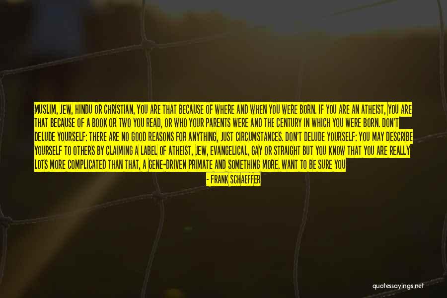 Really Gay Quotes By Frank Schaeffer Really Gay Quotes By Frank Schaeffer