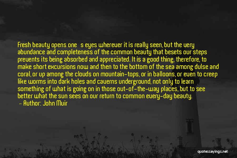 Really Good But Short Quotes By John Muir