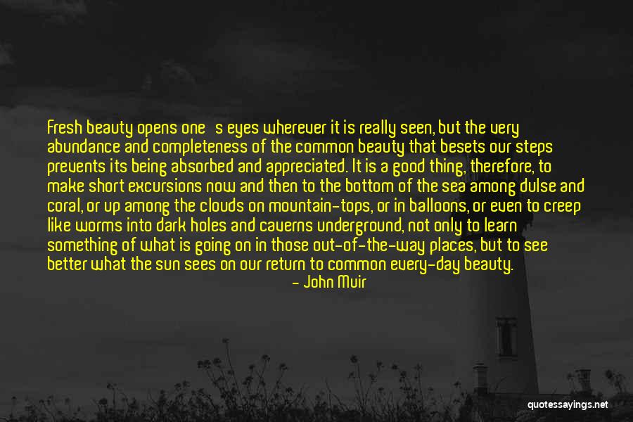 Really Good But Short Quotes By John Muir