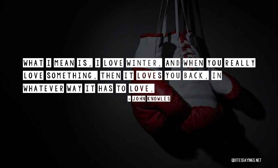 Really Mean Quotes By John Knowles Really Mean Quotes By John Knowles