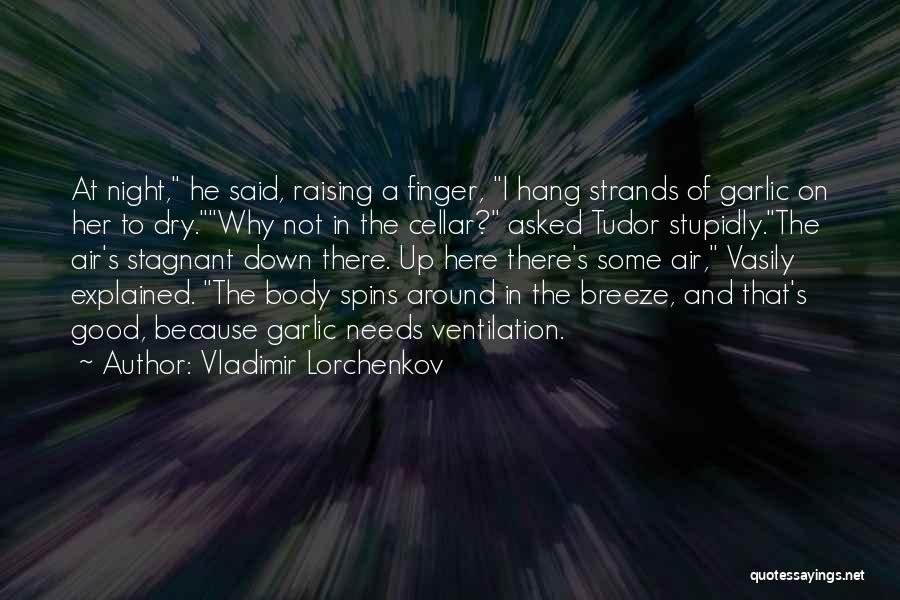 Really Morbid Quotes By Vladimir Lorchenkov