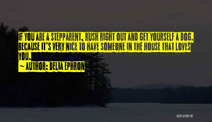 Really Nice Family Quotes By Delia Ephron