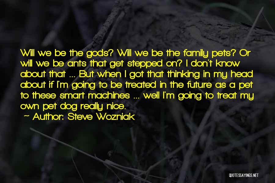 Really Nice Family Quotes By Steve Wozniak
