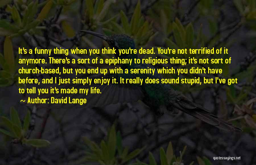 Really Stupid But Funny Quotes By David Lange