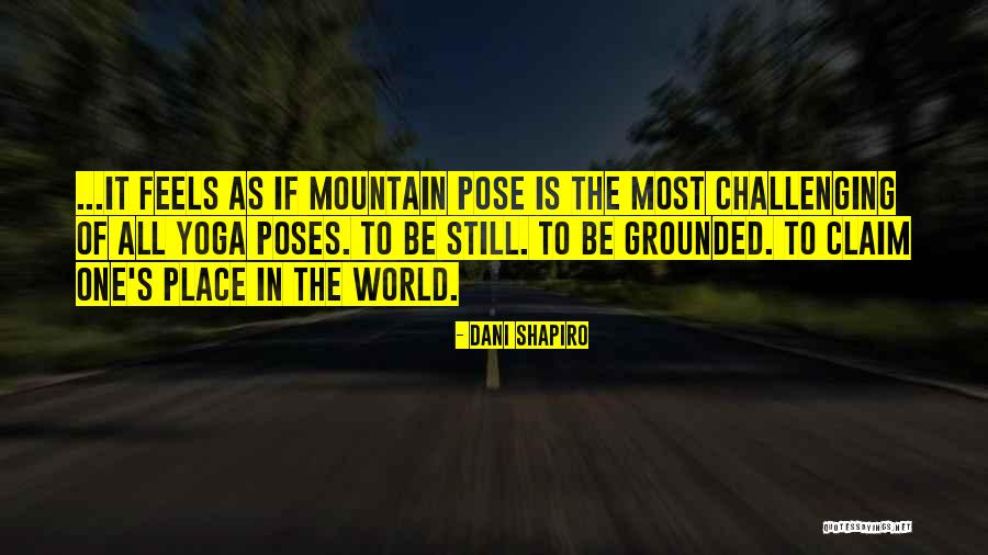 Realm And Conquest Quotes By Dani Shapiro Realm And Conquest Quotes By Dani Shapiro