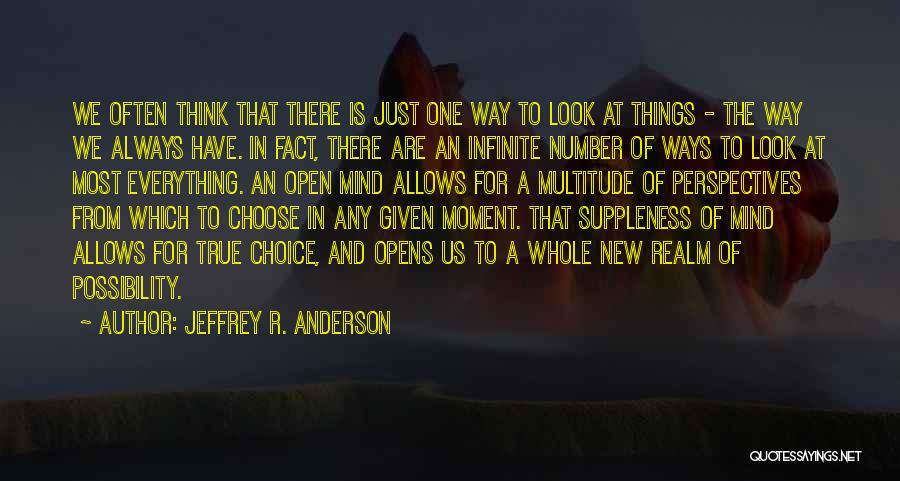 Realm Of Possibility Quotes By Jeffrey R. Anderson