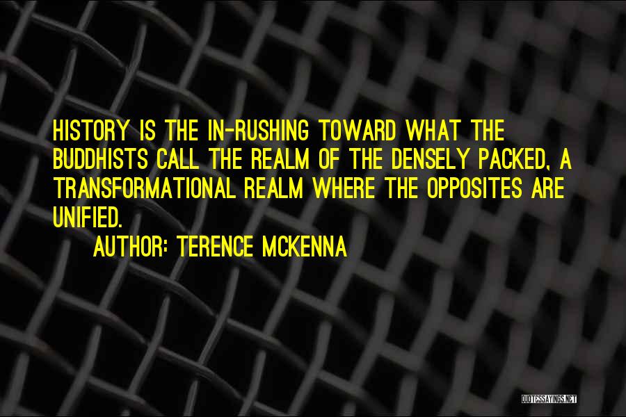 Realm Quotes By Terence McKenna