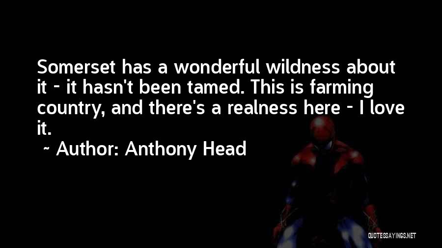 Realness Quotes By Anthony Head