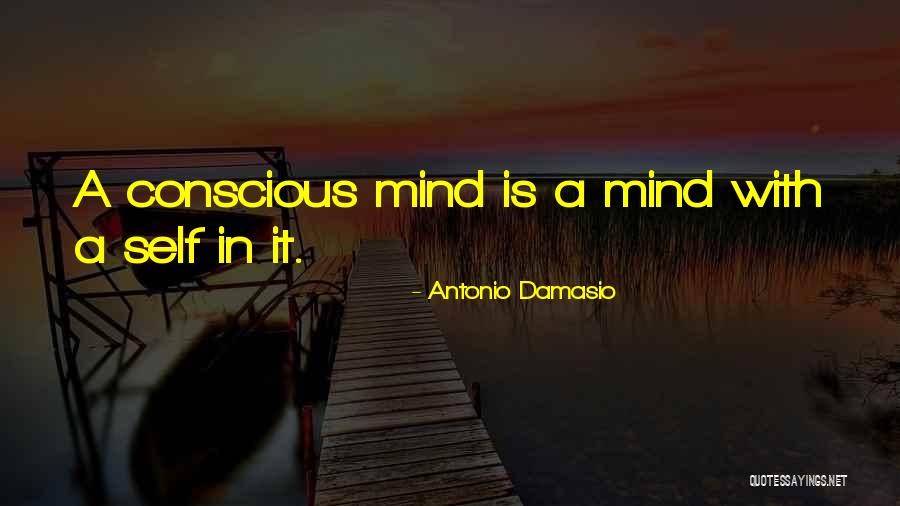 Realtaxtools Quotes By Antonio Damasio Realtaxtools Quotes By Antonio Damasio
