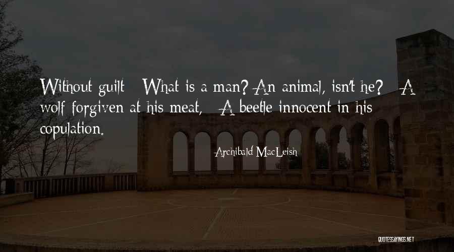 Reaney Court Quotes By Archibald MacLeish Reaney Court Quotes By Archibald MacLeish