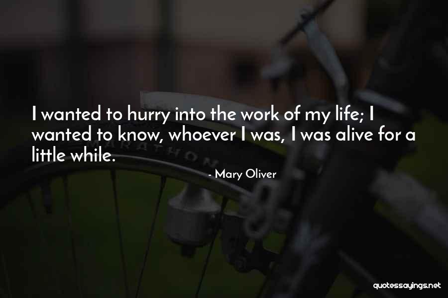 Reanimate Mtg Quotes By Mary Oliver Reanimate Mtg Quotes By Mary Oliver