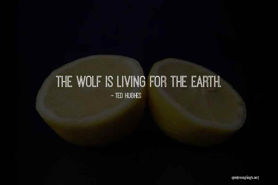 Reanimation Geometry Quotes By Ted Hughes Reanimation Geometry Quotes By Ted Hughes