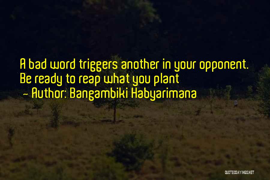 Reap Quotes By Bangambiki Habyarimana