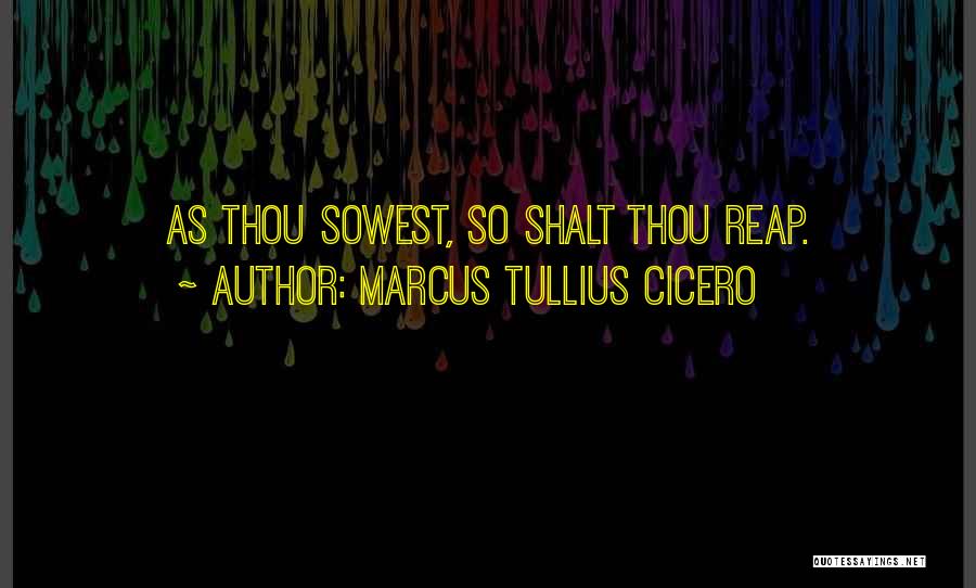 Reap Quotes By Marcus Tullius Cicero
