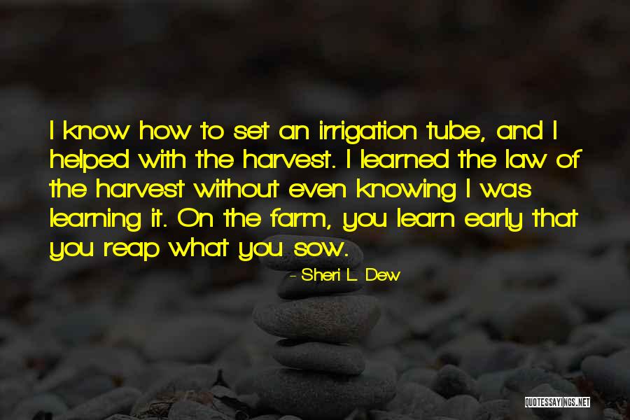 Reap What U Sow Quotes By Sheri L. Dew Reap What U Sow Quotes By Sheri L. Dew