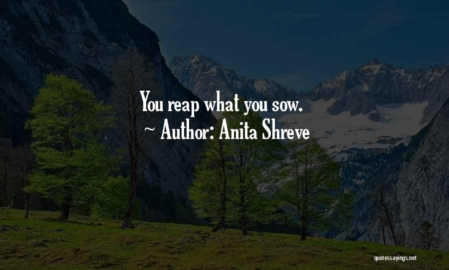 Reap What You Sow Quotes By Anita Shreve