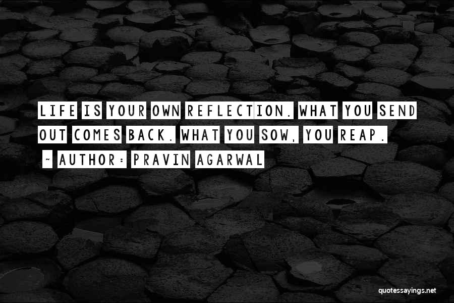 Reap What You Sow Quotes By Pravin Agarwal
