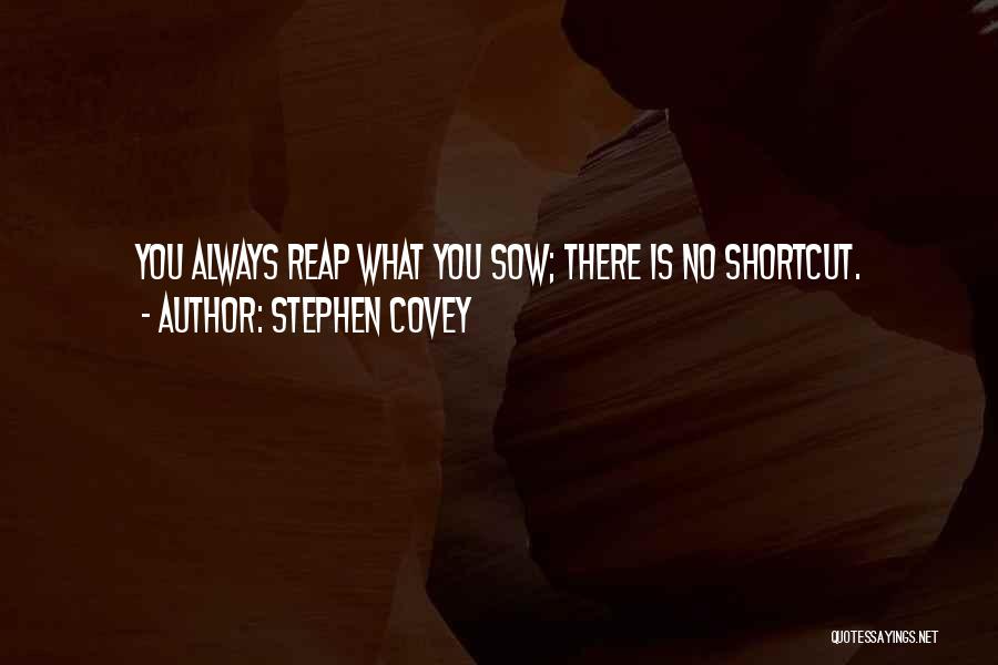 Reap What You Sow Quotes By Stephen Covey