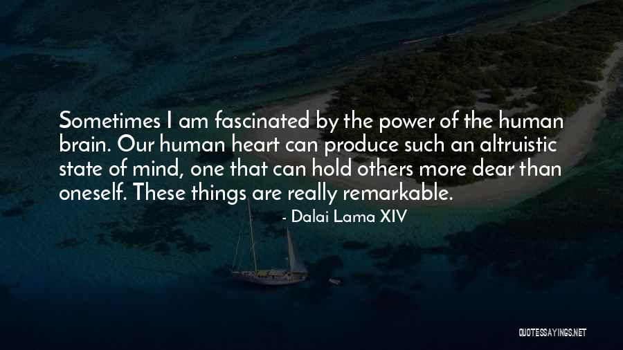 Reaping Hunger Games Quotes By Dalai Lama XIV Reaping Hunger Games Quotes By Dalai Lama XIV