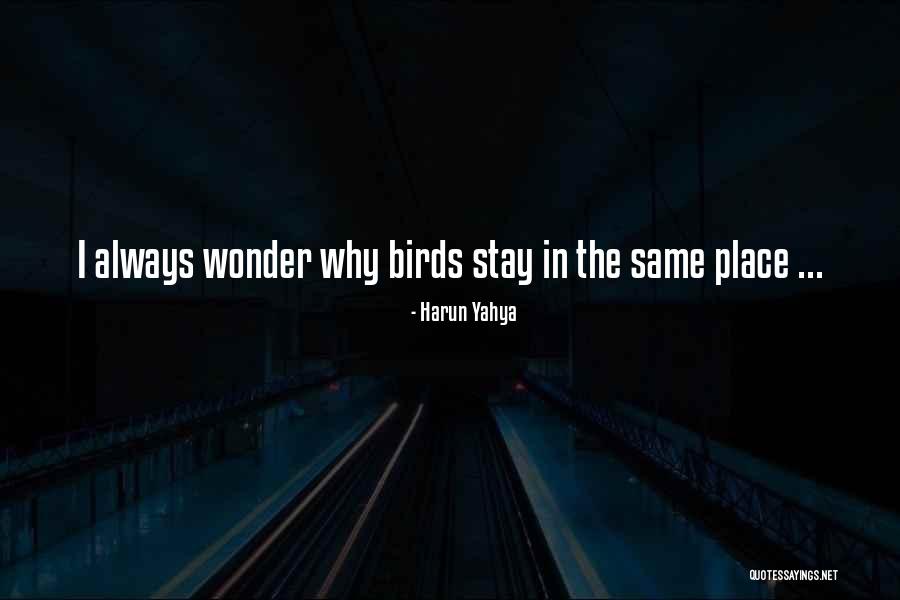 Reaping Quotes Quotes By Harun Yahya Reaping Quotes Quotes By Harun Yahya