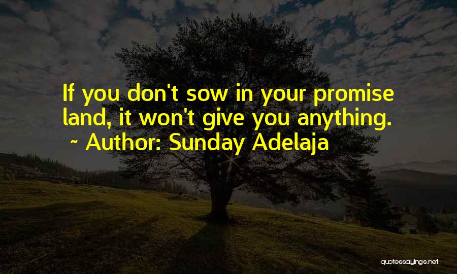 Reaping What You Sow Quotes By Sunday Adelaja
