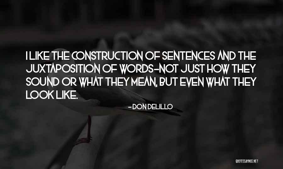 Reappraise Synonym Quotes By Don DeLillo Reappraise Synonym Quotes By Don DeLillo