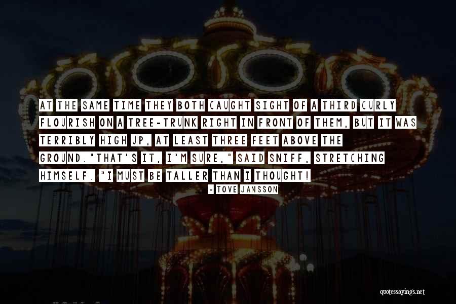Reappraise Synonym Quotes By Tove Jansson Reappraise Synonym Quotes By Tove Jansson