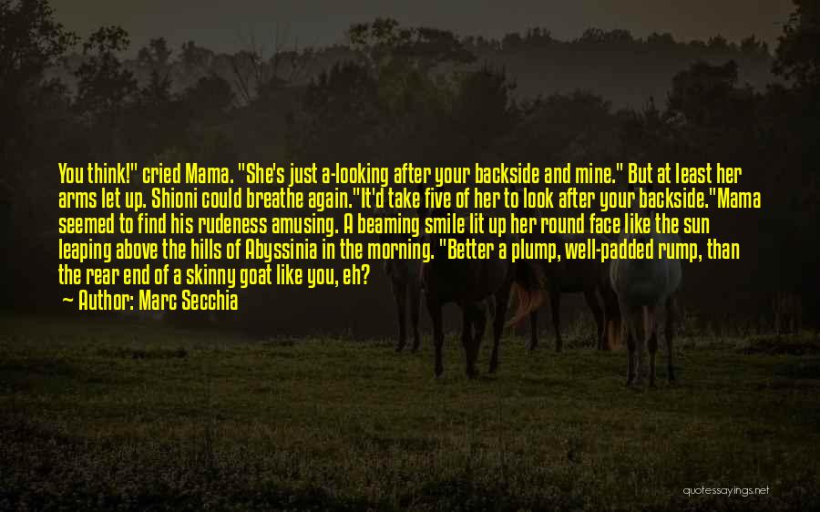 Rear End Quotes By Marc Secchia