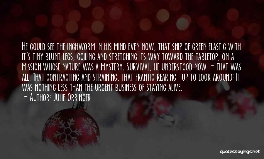 Rearing Quotes By Julie Orringer