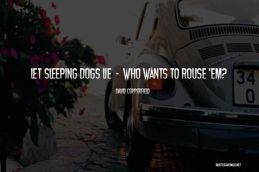 Rears Sprayer Quotes By David Copperfield Rears Sprayer Quotes By David Copperfield