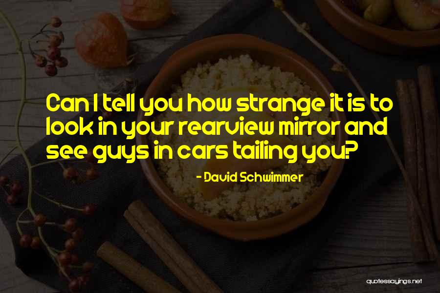Rearview Mirror Past Quotes By David Schwimmer Rearview Mirror Past Quotes By David Schwimmer
