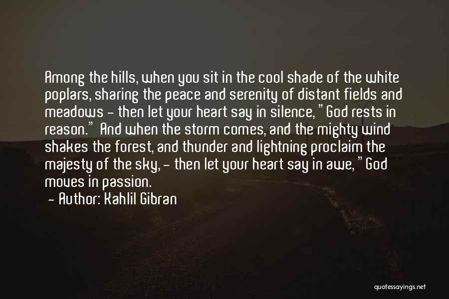 Reason And Passion Quotes By Kahlil Gibran