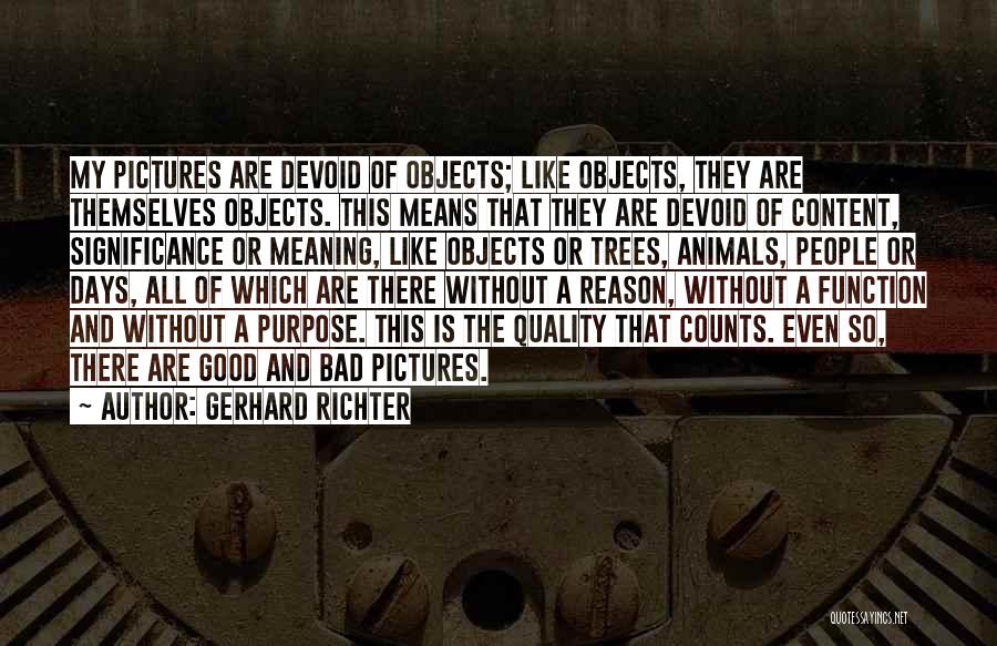Reason And Purpose Quotes By Gerhard Richter