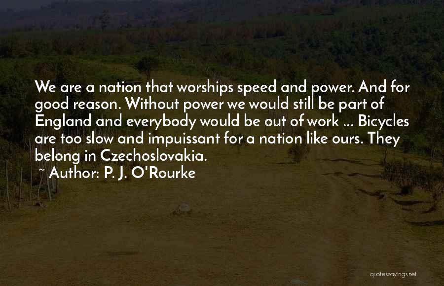 Reason For Life Quotes By P. J. O'Rourke