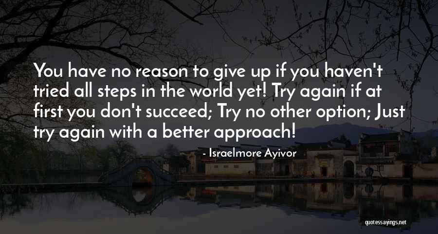 Reason For Success Quotes By Israelmore Ayivor