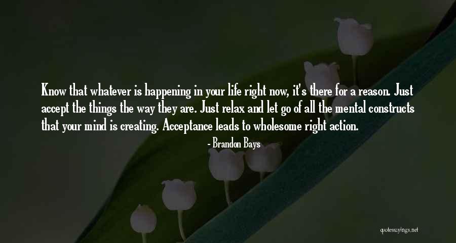 Reason For Things Happening Quotes By Brandon Bays Reason For Things Happening Quotes By Brandon Bays