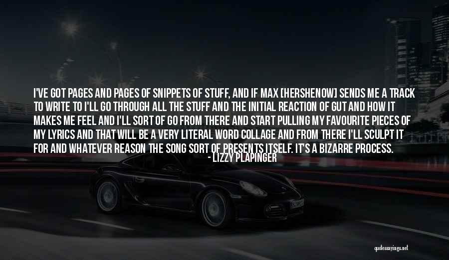 Reason For Writing Quotes By Lizzy Plapinger Reason For Writing Quotes By Lizzy Plapinger