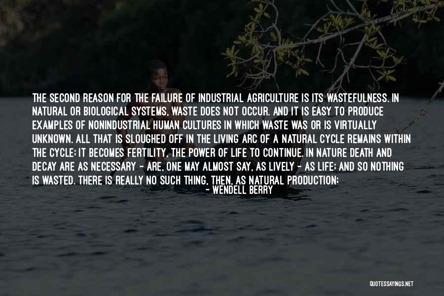 Reason Of Life Quotes By Wendell Berry Reason Of Life Quotes By Wendell Berry