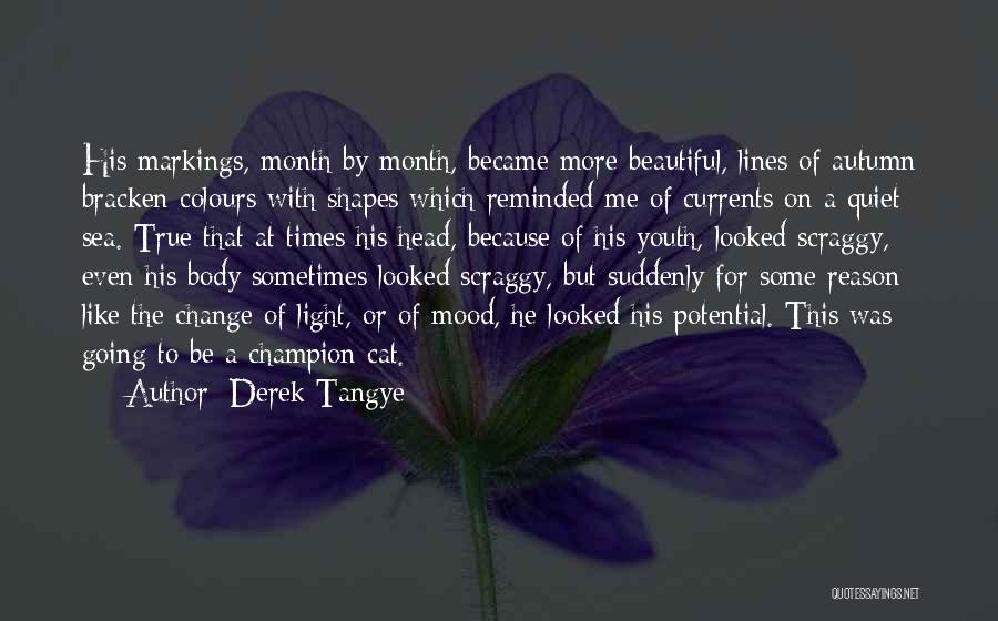 Reason To Change Quotes By Derek Tangye