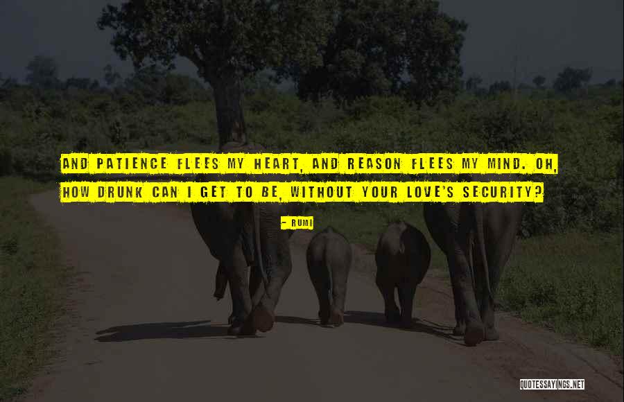 Reason To Love Quotes By Rumi Reason To Love Quotes By Rumi