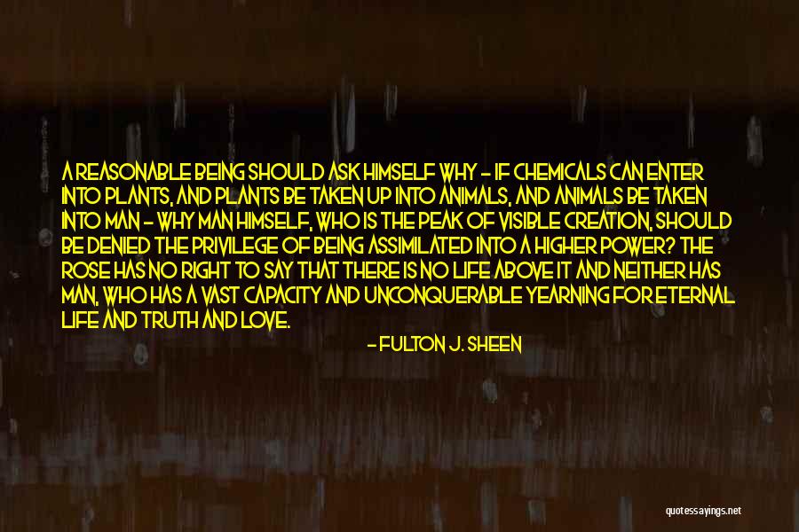 Reasonable Man Quotes By Fulton J. Sheen