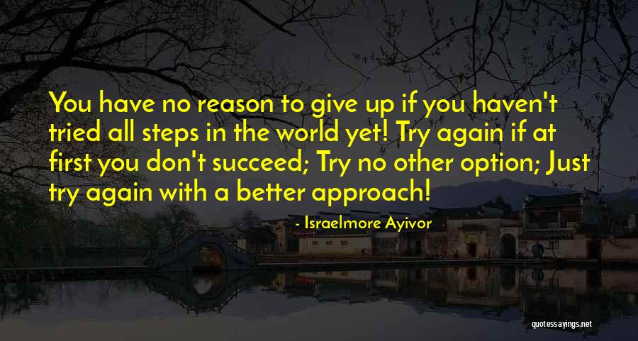 Reasons And Excuses Quotes By Israelmore Ayivor