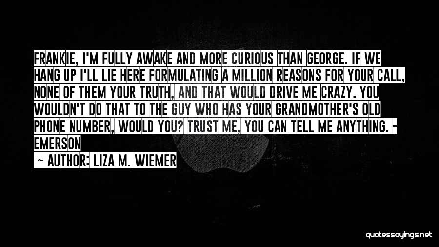 Reasons To Lie Quotes By Liza M. Wiemer