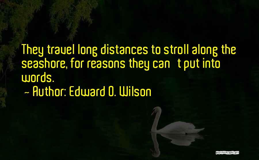 Reasons To Travel Quotes By Edward O. Wilson